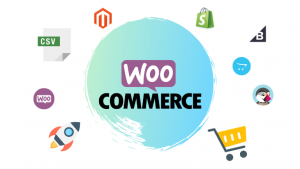 theme astra-woocommerce