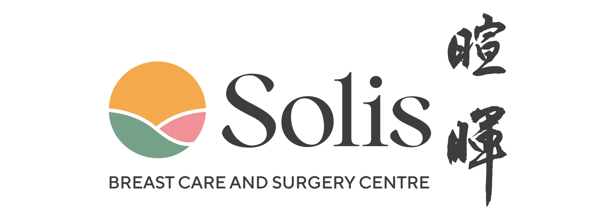 Logo Solis