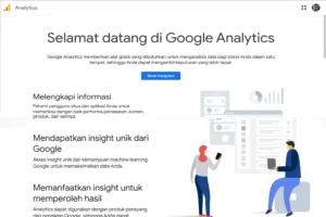 Penampakan awal Google Analytics