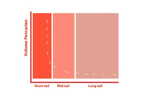 Perbandingan Long tail vs short tail keyword