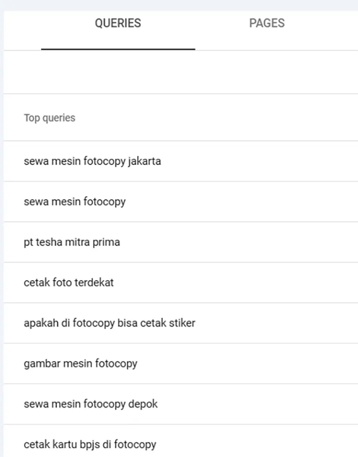 Queries Google Search Console